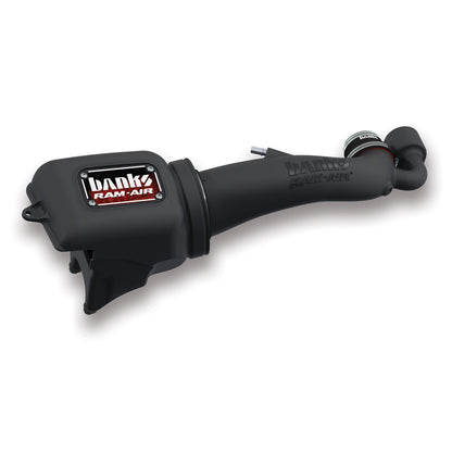 Banks Ram-Air intake system