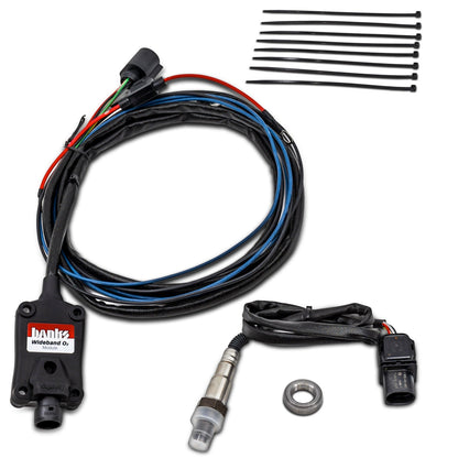 Wideband O2 AFR Module