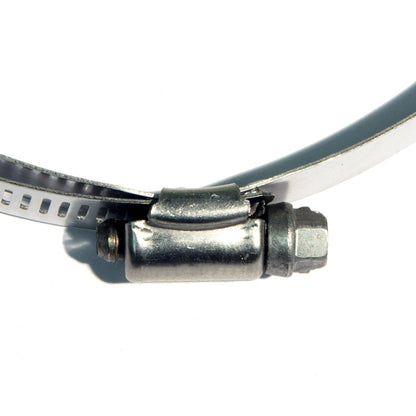 Hose Clamp